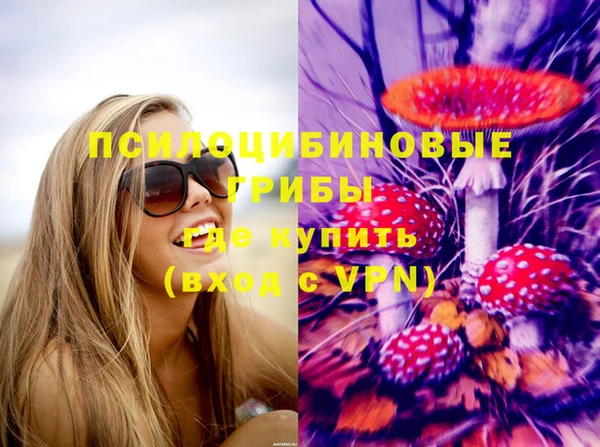 не бодяженный Алексин